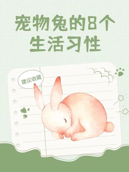 兔子生活习性(是因为它们怕热吗)