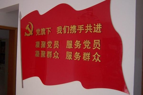 党组织生活(  还有哪些形式可以尝试)