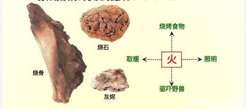 北京人的生产生活(他们会用火吗)