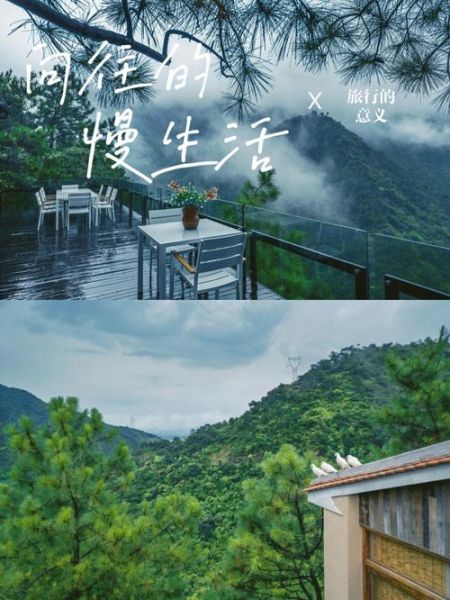 向往的生活免费(带你体验慢生活的美好)
