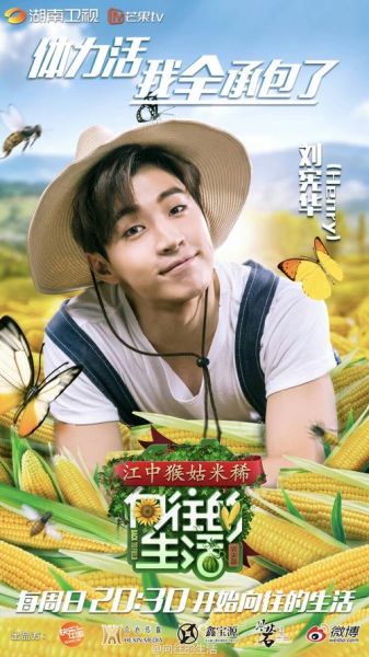 向往的生活在哪能看(手机上可以看吗)