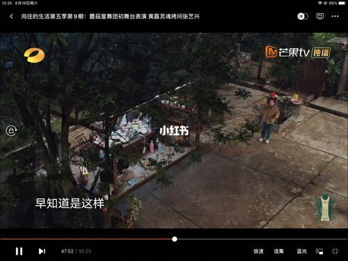 向往的生活影评(真的能让人放松吗)