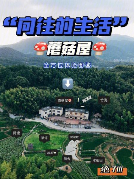 向往的生活第三季第一期(蘑菇屋会发生哪些故事)