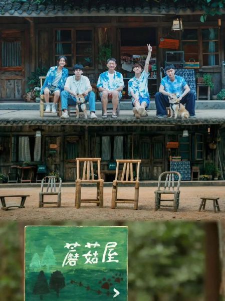 向往的生活蘑菇屋图片(它承载了多少美好回忆)