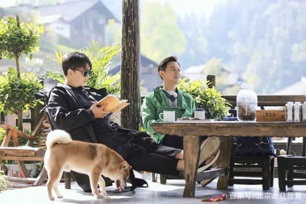 向往的生活讲的什么(农村创业的艰辛还是爱情的甜蜜)