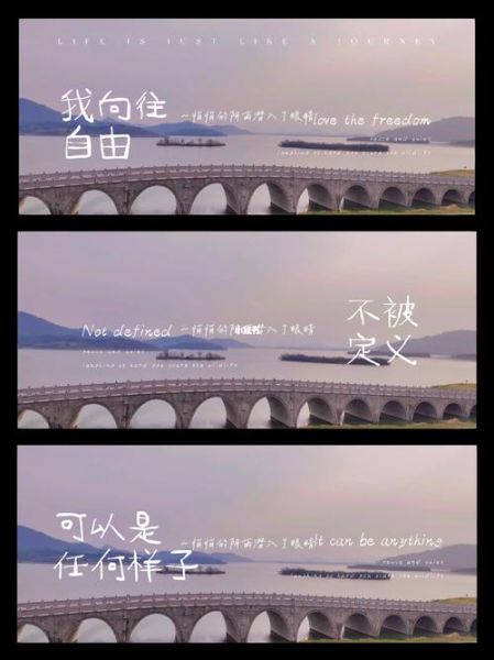 女生向往的生活(真的能自由选择吗)