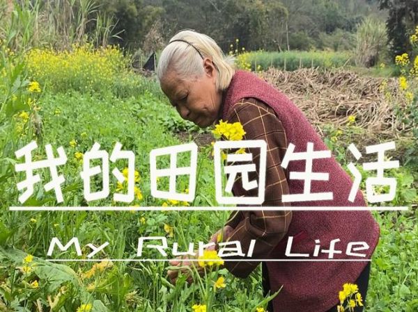 我的田园生活(它会是想象中的美好吗)