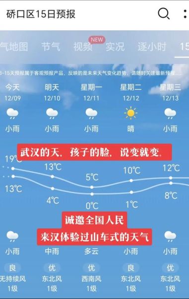 武汉今日天气预报(出门要不要带伞呢)