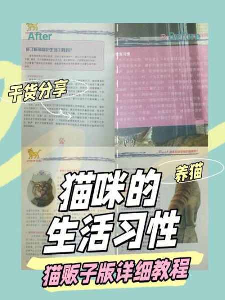 猫的生活习惯( 它们真的不喜欢和人亲近吗)