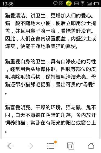 猫的生活习惯( 它们真的不喜欢和人亲近吗)