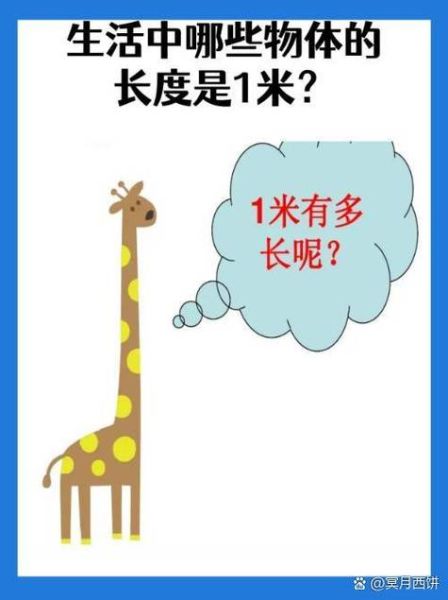 生活中哪些物体的长度大约是1米( 它们有什么用处呢)
