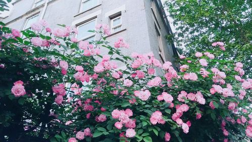 生活中的小美好(也能找到属于自己的美好瞬间吗)