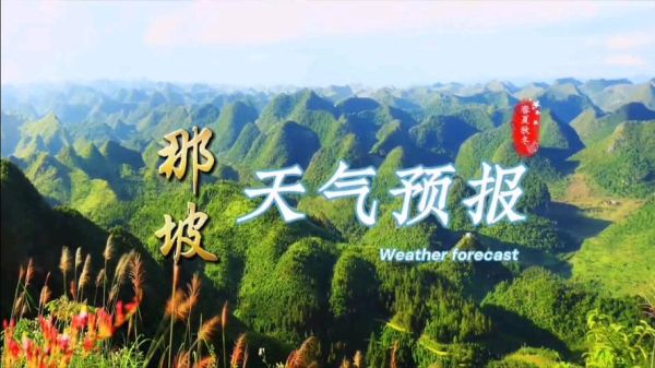 那坡天气预报15天查询(我需要提前准备吗)