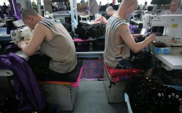 监狱的真实生活(  监狱会让人改变吗)