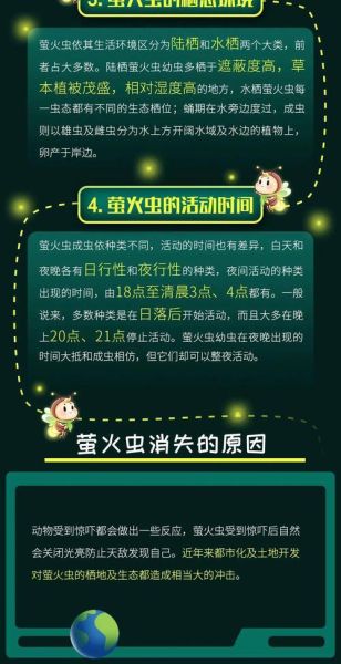 萤火虫的生活习性(冬天它们都去哪里了)