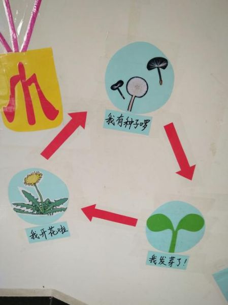 蒲公英的生活环境(它在什么地方才能生长)