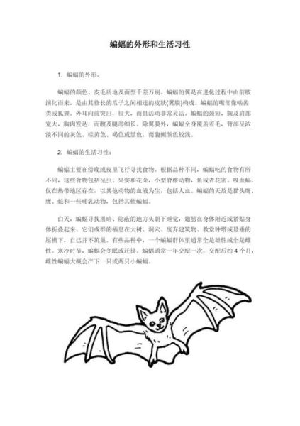 蝙蝠的生活习性(它们是怎么做到的)