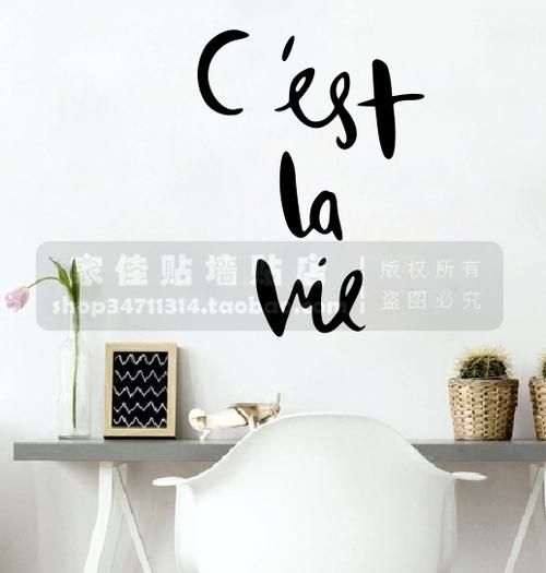 这就是生活法语(你准备好迎接挑战了吗)